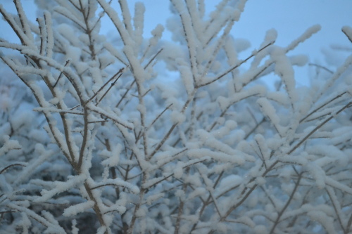 wintertime on the farm 4