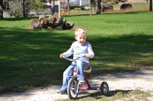 andpa and grandma's farm