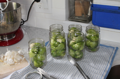 green tomato pickles 2