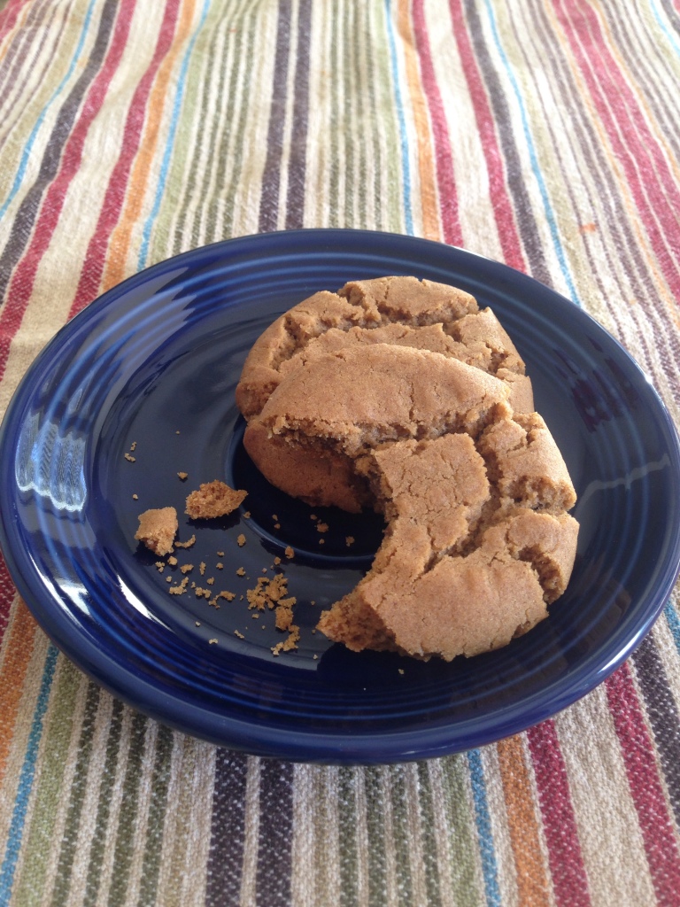 Grandma Maxine's Ginger Cookies