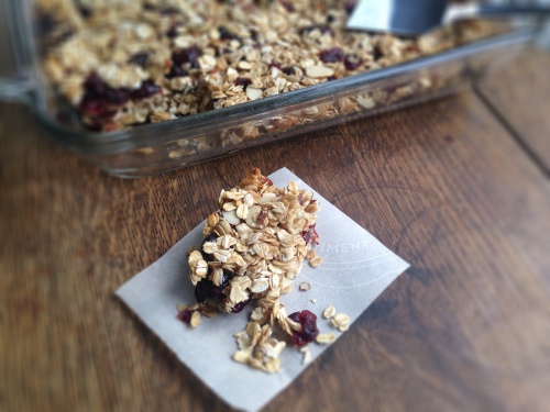 Cranberry Oatmeal Granola Bars- chewy, salty, and sweet