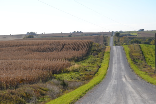 beans and gravel road