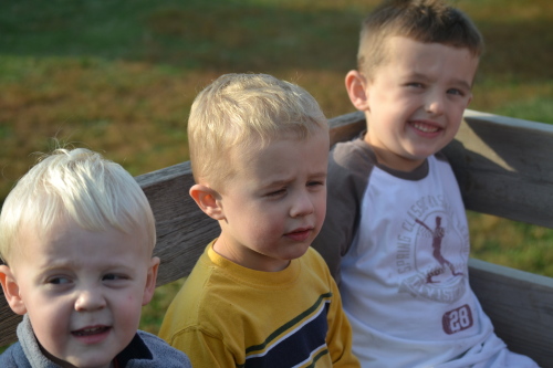 Pumpkin Patch