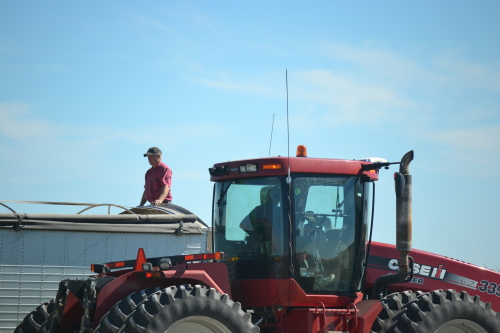 Springtime on our farm