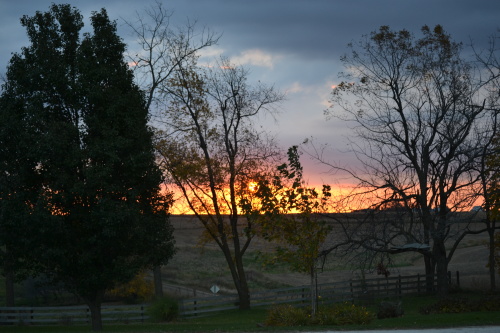 October 22, 2014 002