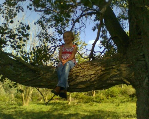 climbing tree in summer 1