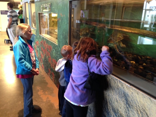 Learning about Iowa Reptiles at the Science Center of Iowa