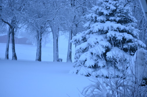 February 1, 2015 062