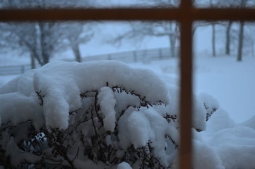 February 1, 2015 077