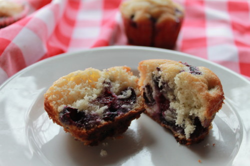 Blueberry Muffins