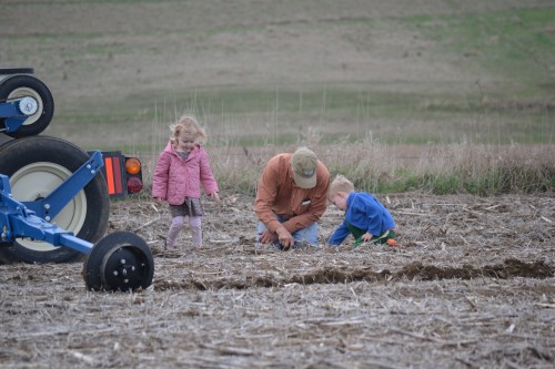 Checking each row planted to see if the seeds are in the ground and so far apart. Yep! They are!