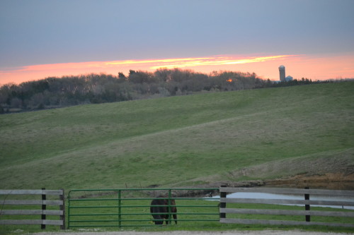 What's happening on the farm today?