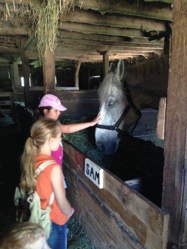 Visiting Living History Farms