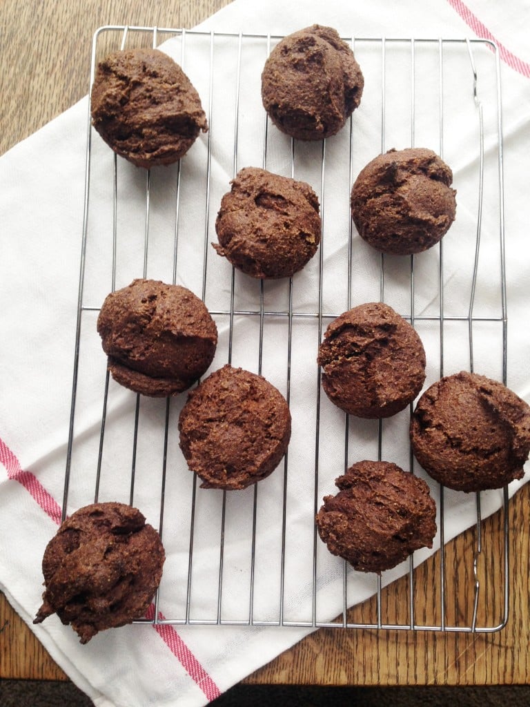 Easy Peasy Cinnamon Muffins (Trim Healthy Mama)