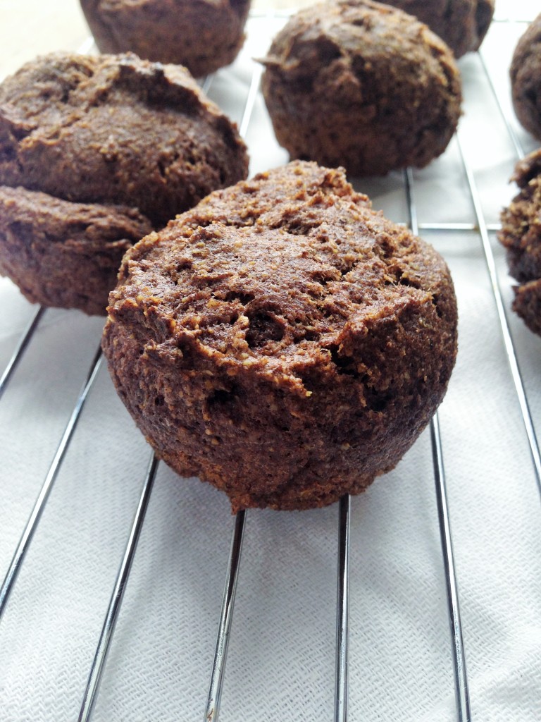 Easy Peasy Cinnamon Muffins (Trim Healthy Mama)