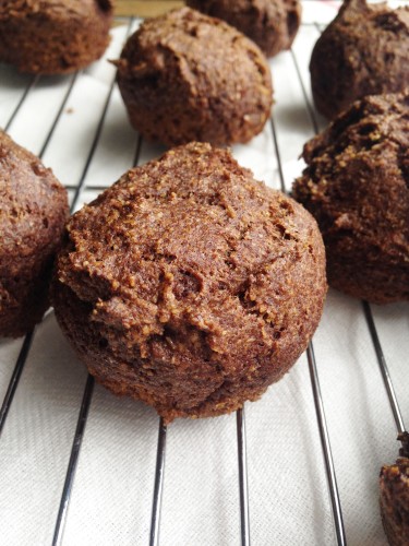Easy Peasy Cinnamon Muffins (Trim Healthy Mama)