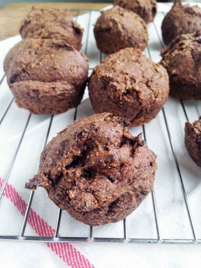 Easy Peasy Cinnamon Muffins (Trim Healthy Mama)