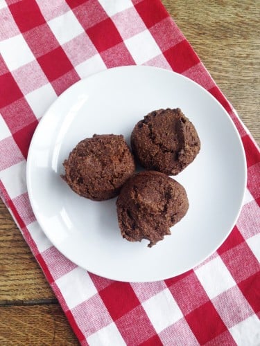 Easy Peasy Cinnamon Muffins (Trim Healthy Mama)