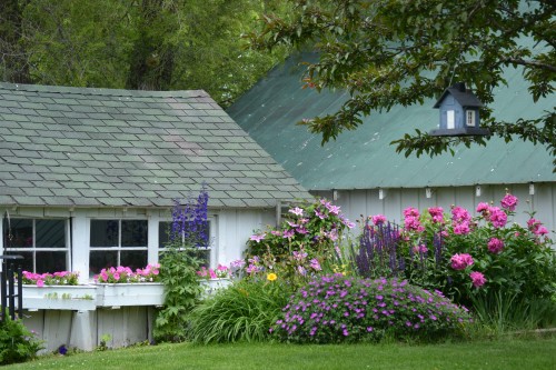 Garden shed