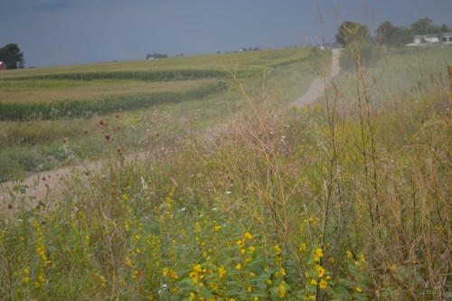 View from "the old muddy road".