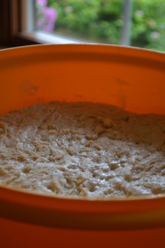 Bucket Bread Dough