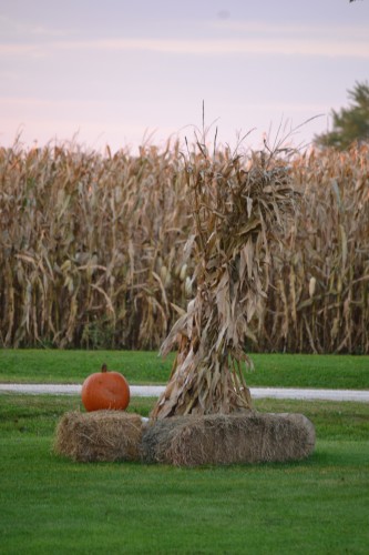 September 28, 2015 018