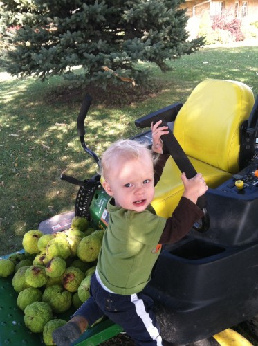 What John was really interested in was to drive the lawn mower!