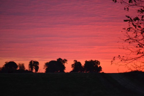 October 19, 2015 030