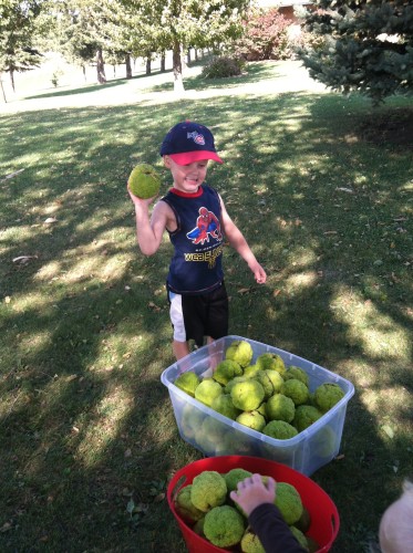 Nov 2 De's iphone 012