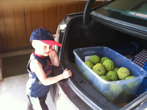 Nov 2 De's iphone 020