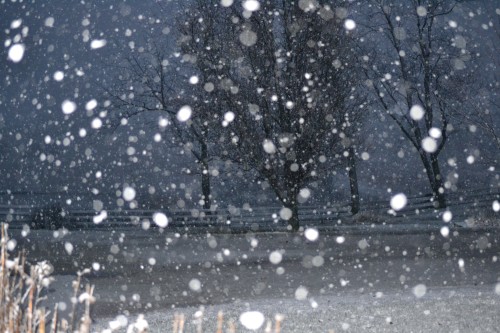 December 14, 2015 002