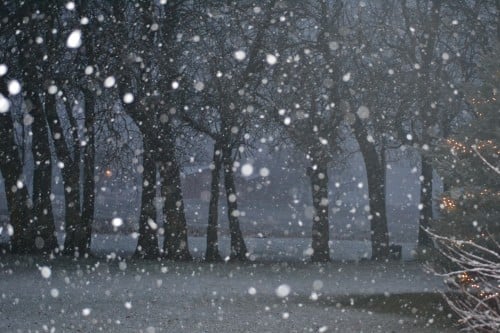 December 14, 2015 005