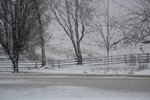 December 21, 2015 003