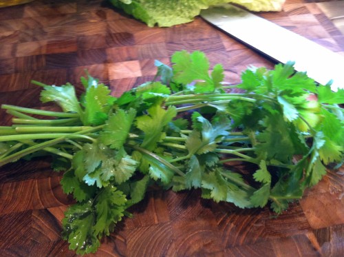 Wonderful, fragrant cilantro.