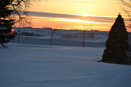 February 12, 2016 006