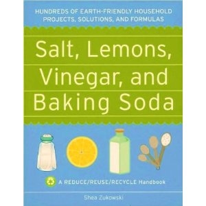 Salt-Lemons-Vinegar-and-Baking-Soda