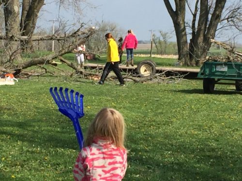 Anna is working pretty hard with that rake. 