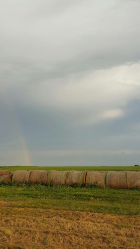 A line of hay bales during a rain. Love the rainbow. Thanks, God.