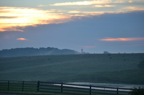 Hazzzzy morning on the farm.