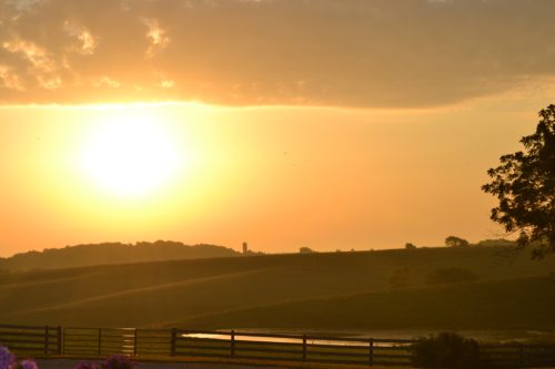 Yellow hazy sunrise