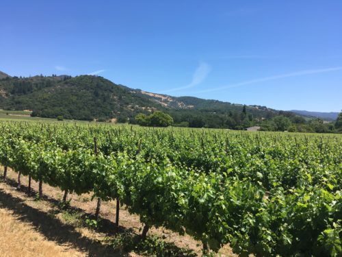 Our California Pacific Coast Highway Road Trip