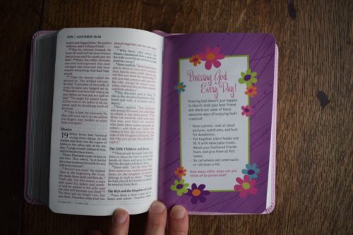 Follow Your Heart Faithgirlz Backpack Bible