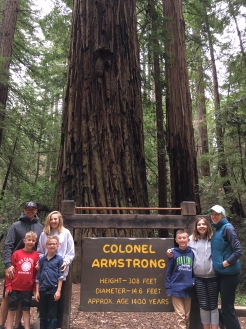 Armstrong Redwood State Natural Reserve
