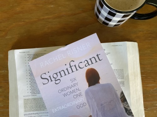 Significant by Rachel Risner