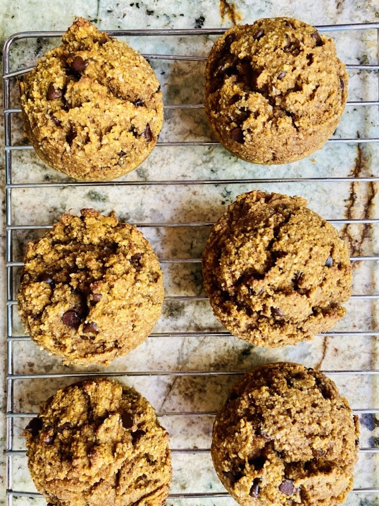 Sugar Free Pumpkin Chocolate Chip Muffins