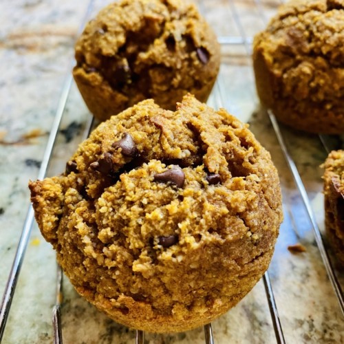 Sugar Free Pumpkin Chocolate Chip Muffins