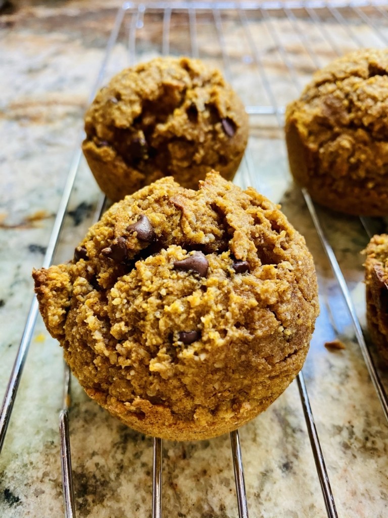 Sugar Free Pumpkin Chocolate Chip Muffins