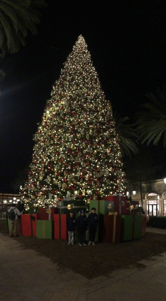 Christmas Tree at Fashion Island 